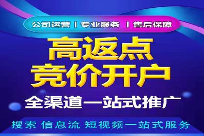 搜索引擎竞价推广实战：行业领先企业的成功秘诀