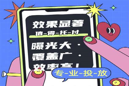 竞价广告在XX行业的成功应用案例