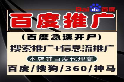 某电商平台信息流广告的精准推广策略